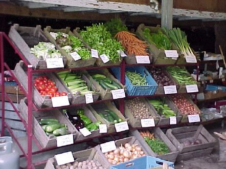 Markt_1